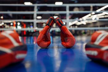 Pair of red boxing gloves and pads on ring, nobody. Box or kickboxing sport concept, equipment for training