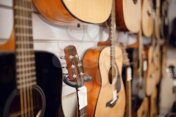 Rows of acoustic guitars on showcase in music store, nobody. Assortment in musical instrument shop, professional equipment for musicians and performers