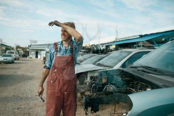 Tired male repairman with wrench on car junkyard. Auto scrap, vehicle junk, automobile garbage, abandoned, damaged and crushed transport