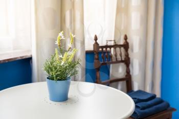 Hotel room interior, flowers in pot on the table, Europe tourism. European motel furniture, apartment for comfortable leisure, nobody