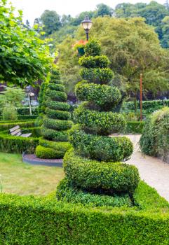 Figure in shape of abstract swirl from the bushes, summer park in Europe. Professional gardening, european green landscape, garden plants decoration