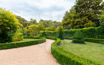 Figures in shape of swirl and cone from the bushes, summer park in Europe. Professional gardening, european green landscape, garden plants decoration
