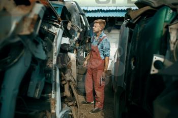 Dirty male repairman choosing spare parts on car junkyard. Auto scrap, vehicle junk, automobile garbage, abandoned, damaged and crushed transport