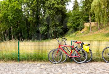 Bicycles for tourists in summer park, Europe. Professional gardening, european green landscape, garden plants decoration