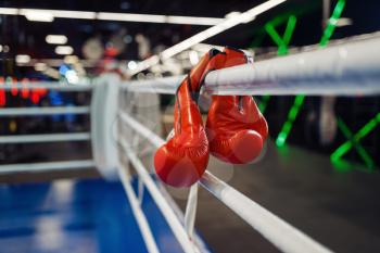 Pair of red leather boxing gloves hanging on a ropes on ring, nobody. Box or kickboxing sport concept, equipment for training, fighting martial arts