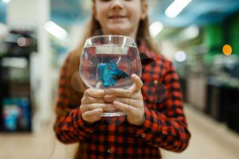 Little girl holds glass with blue fish, pet store. Child buying equipment in petshop, accessories for domestic animals