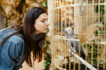 Young woman looking on parrot in cage, pet store. Female person buying equipment in petshop, accessories for domestic animals