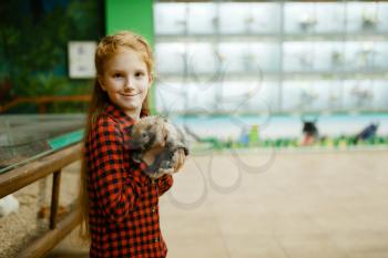 Little girl holds rabbit in hands, pet store. Child buying equipment in petshop, accessories for domestic animals