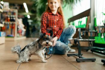 Little girl looking clothes for her dog in pet store. Child buying equipment in petshop, accessories for domestic animals