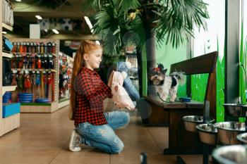 Little girl looking clothes for her dog in pet store. Child buying equipment in petshop, accessories for domestic animals