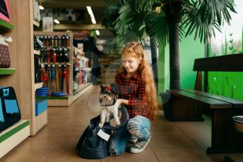 Little girl puts her puppy in bag, pet store. Child buying equipment in petshop, accessories for domestic animals