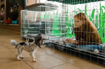 Little girl sitting in big cage, pet store. Child buying equipment in petshop, accessories for domestic animals