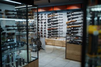 Rifle choice, showcase in gun shop, nobody. Euqipment for hunters on stand in weapon store, hunting and sport shooting hobby