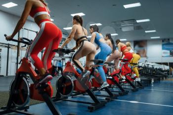 Group of women doing exercise on a stationary bike in gym, back view. People on fitness workout in sport club, athletic girls in sportswear on training indoors