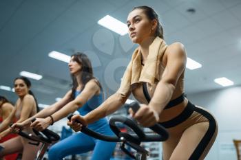 Group of sportive women doing exercise on stationary bikes in gym. People on fitness workout in sport club, athletic girls in sportswear on training indoors