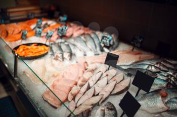Showcase with fresh chilled fish in grocery store, nobody. Seafood choice in market, delicacies assortment in supermarket