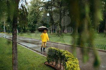 Alone man with umbrella walking in summer park in rainy day. Male person in rain cape and rubber boots, wet weather in alley, loneliness