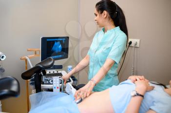 Female gynecologist makes ultrasound scan. Gynecological examination in clinic, gynecology consultation, ultrasonography diagnostic or scanning. Doctor and woman in hospital
