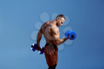 Male muscular athlete holds dumbbells in studio, blue background. One man with athletic build, shirtless sportsman in sportswear, active healthy lifestyle