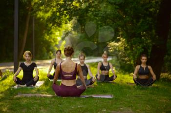 Women sits in yoga pose on the grass, group training. Meditation exercise, class on workout outdoors, relaxation practice