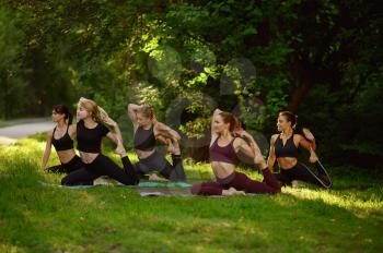 Women doing stretching exercise, group yoga training on the grass in park. Meditation, class on workout outdoors, relaxation practice