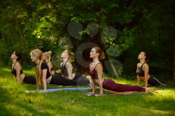 Slim women doing stretching exercise, group yoga training on the grass in park. Meditation, class on workout outdoors, relaxation practice