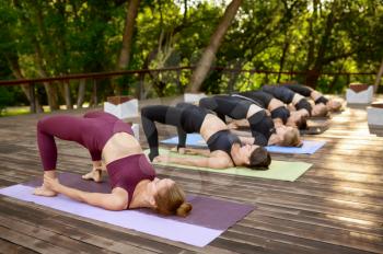 Sportive women on group yoga training in summer park. Meditation, fit class on workout outdoors, relaxation practice. Fitness exercise, healthy lifestyle