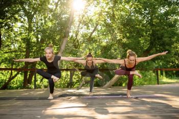 Three women doing balance exercise on group yoga training in summer park. Meditation, fit class on workout outdoors, relaxation practice. Fitness, active healthy lifestyle