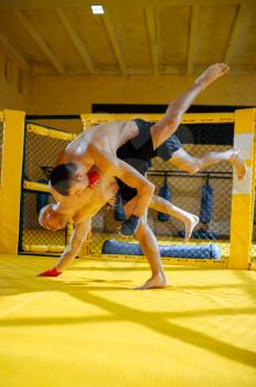 Two male MMA fighters fights in a cage in gym. Muscular men on ring, combat workout, martial arts training, competition or sparring
