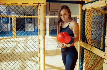 One sportive female MMA fighter in boxing gloves poses in a cage in gym. Athletic woman on combat workout, martial arts training before competition or sparring