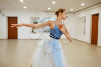 Young ballerina rehearsing at the barre in class. Ballet school, female dancers on choreography lesson, girls practicing grace dance