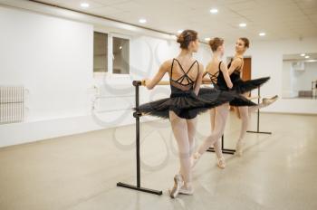 Elegant young ballerinas poses at the barre in class. Ballet school, female dancers on choreography lesson, girls practicing grace dance
