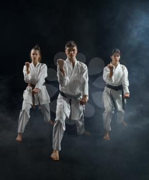 Male and female karate fighters in white kimono, group training, dark smoky background. Karatekas on workout, martial arts, fighting competition
