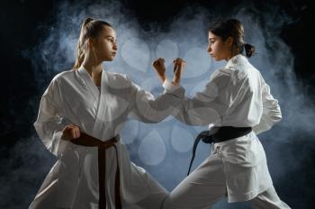 Female karate fighters, combat stance, dark smoky background. Karatekas on workout, martial arts, women fighting competition