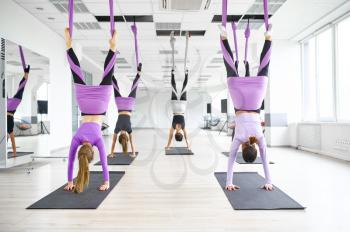 Aerial yoga class, female group training, hanging on hammocks. Fitness, pilates and dance exercises mix. Women on yogi workout in sports studio