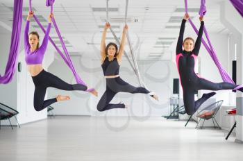 Aerial yoga studio, female group training, hanging on hammocks. Fitness, pilates and dance exercises mix. Women on yogi workout in gym