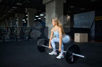 Sexy woman doing exercise with barbell, fitness training in gym. Athletic female person on workout, sportswoman in sport club, active healthy lifestyle, physical wellness