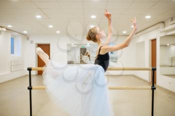 Elegant young ballerina rehearsing at the barre in class. Ballet school, female dancers on choreography lesson, girls practicing grace dance