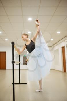Elegant young ballerina works at the barre in class. Ballet school, female dancers on choreography lesson, girls practicing grace dance