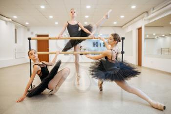 Elegant teen ballerinas poses at the barre in class. Ballet school, female dancers on choreography lesson, girls practicing grace dance
