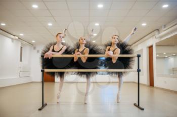 Elegant teen ballerinas poses at the barre in class. Ballet school, female dancers on choreography lesson, girls practicing dance