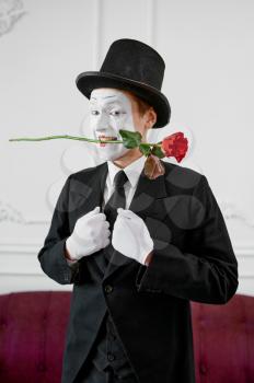 Mime artist, gentleman in love with a rose. Pantomime theater, parody comedian, positive emotion, humour performance, funny face mimic and grimace
