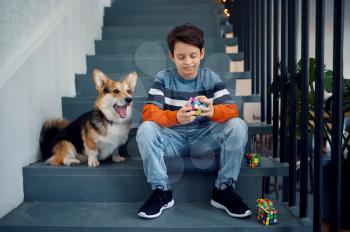 Little boy and his dog play with puzzle cubes. Toy for brain and logical mind training, creative game, solving of complex problems