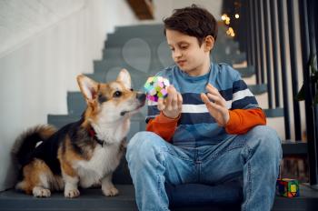 Child and his dog play with puzzle cubes on steps. Toy for brain and logical mind training, creative game, solving of complex problems