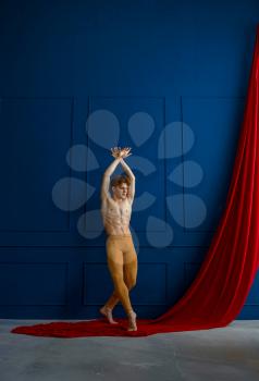Male ballet dancer poses in dancing class, blue walls and red cloth on background. Performer with muscular body, grace and elegance of movements