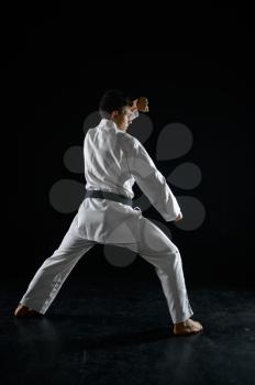 Male karate fighter in a combat stance, dark background. Man on karate workout, martial arts, fighting competition