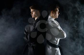 Two male karatekas in white and black kimono, dark background with smoke. Fighters on workout, martial arts, fighting competition
