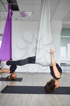 Aerial anti-gravity yoga, female group training, hanging on hammocks. Fitness, pilates and dance exercises mix. Women on yoga workout in sports studio