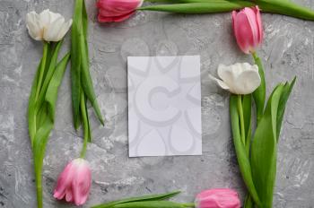 Tulips frame and greeting card on grunge grey background. Spring flowers blooming, fresh floral decoration, green freshness, romantic gift