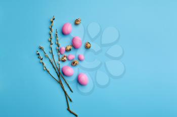 Colorful easter eggs and willow on blue background, top view. Paschal food, event decoration, spring holiday celebration symbol